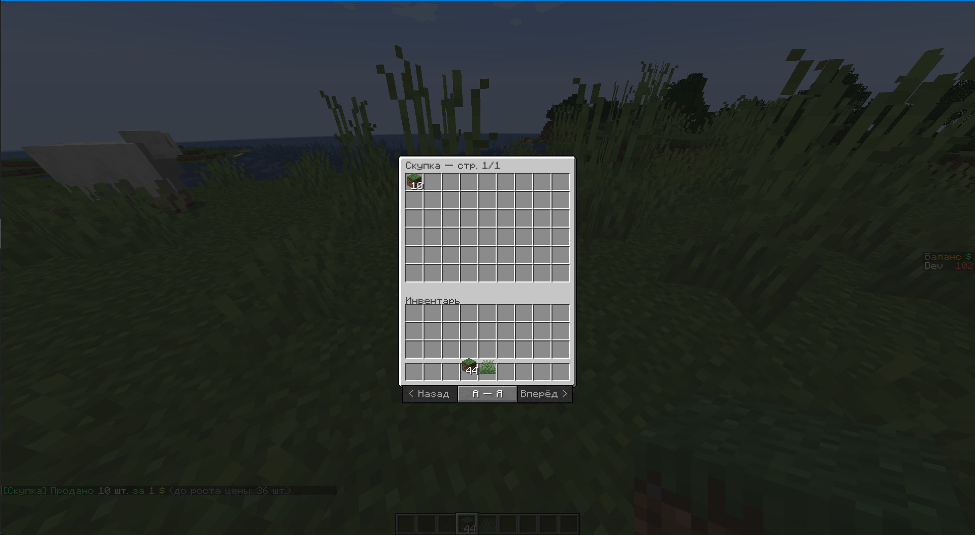 photo1.png