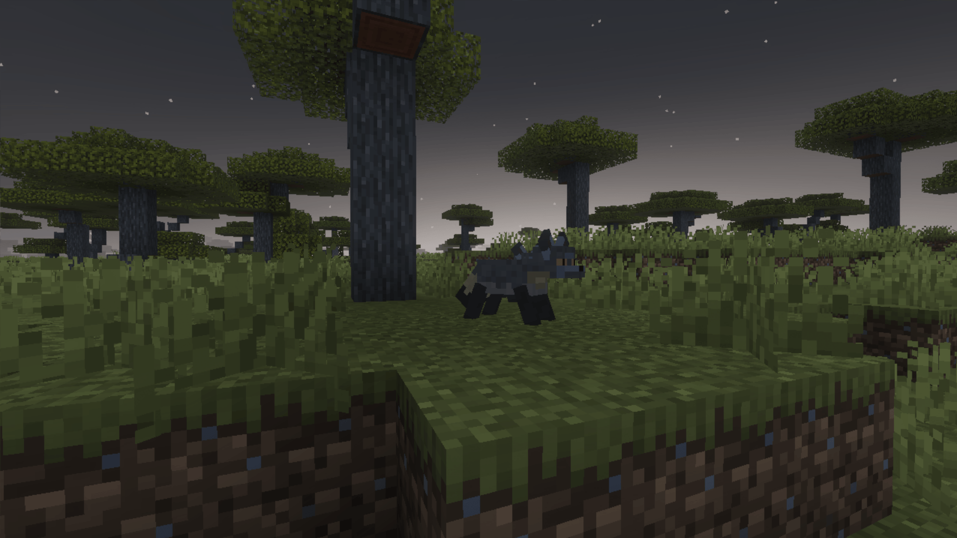 Wildlife Wonders — screenshot 2