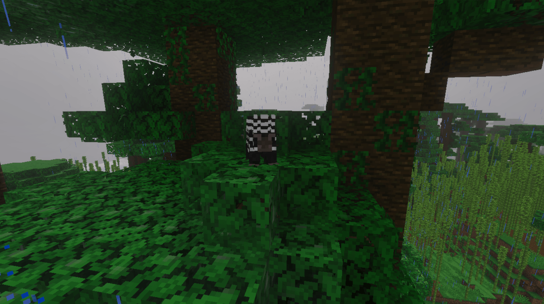 Wildlife Wonders — screenshot 3