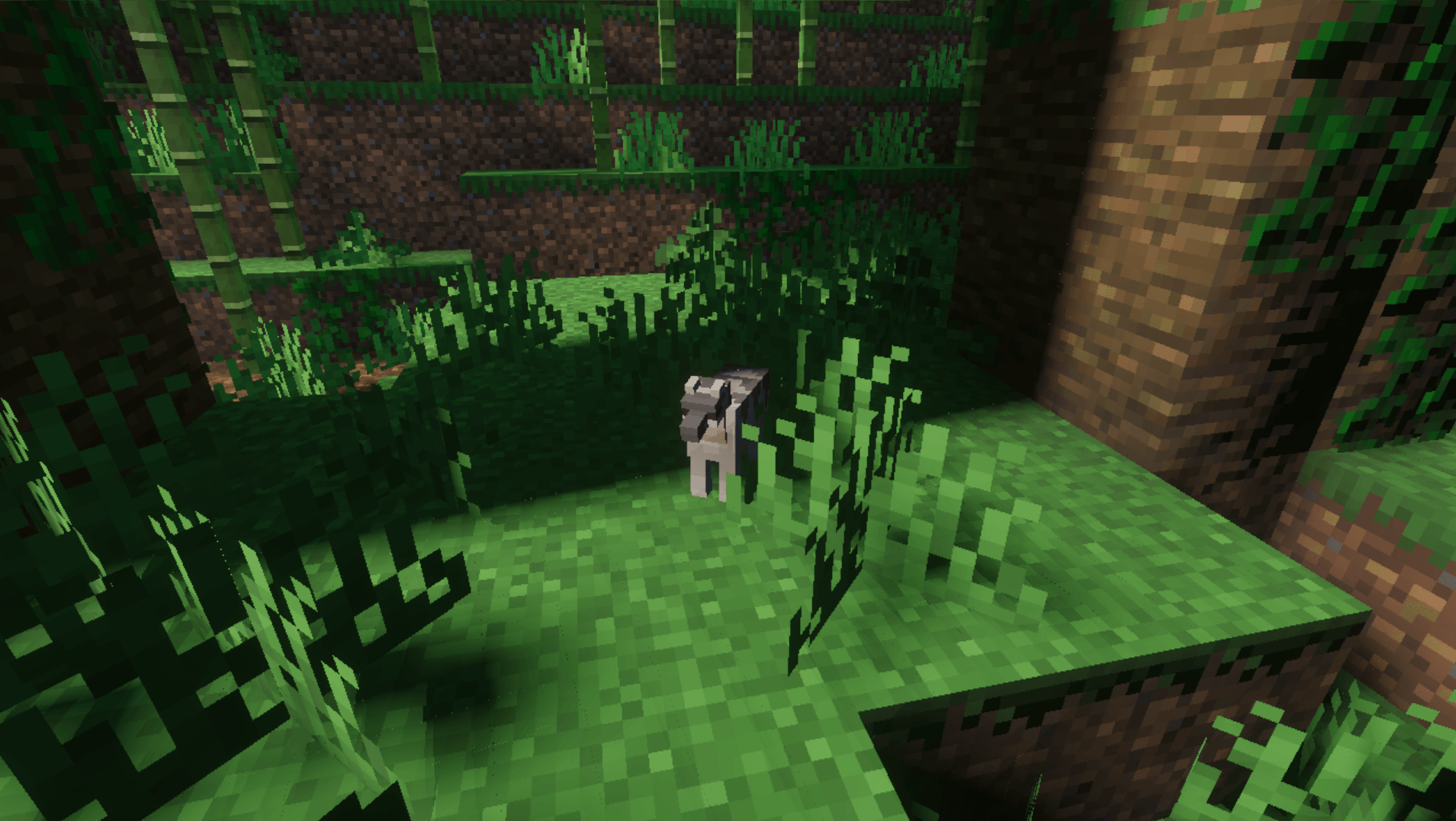 Wildlife Wonders — screenshot 4