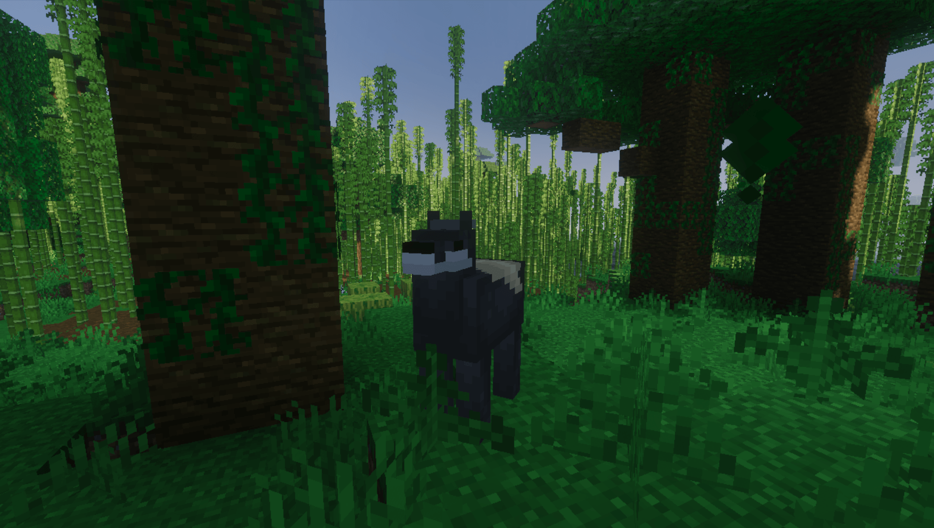 Wildlife Wonders — screenshot 6