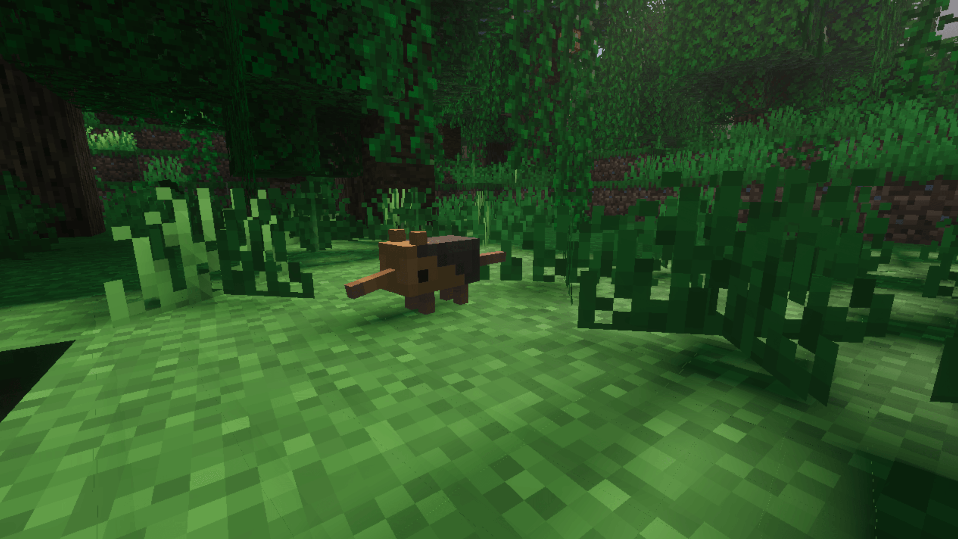 Wildlife Wonders — screenshot 8