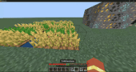 MCPEDL