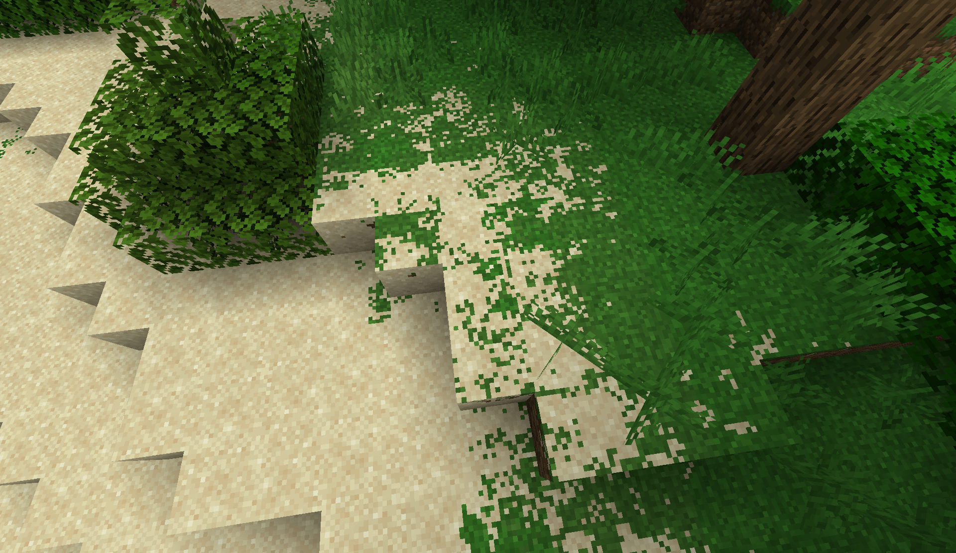 Sand blending into grass along a forest edge