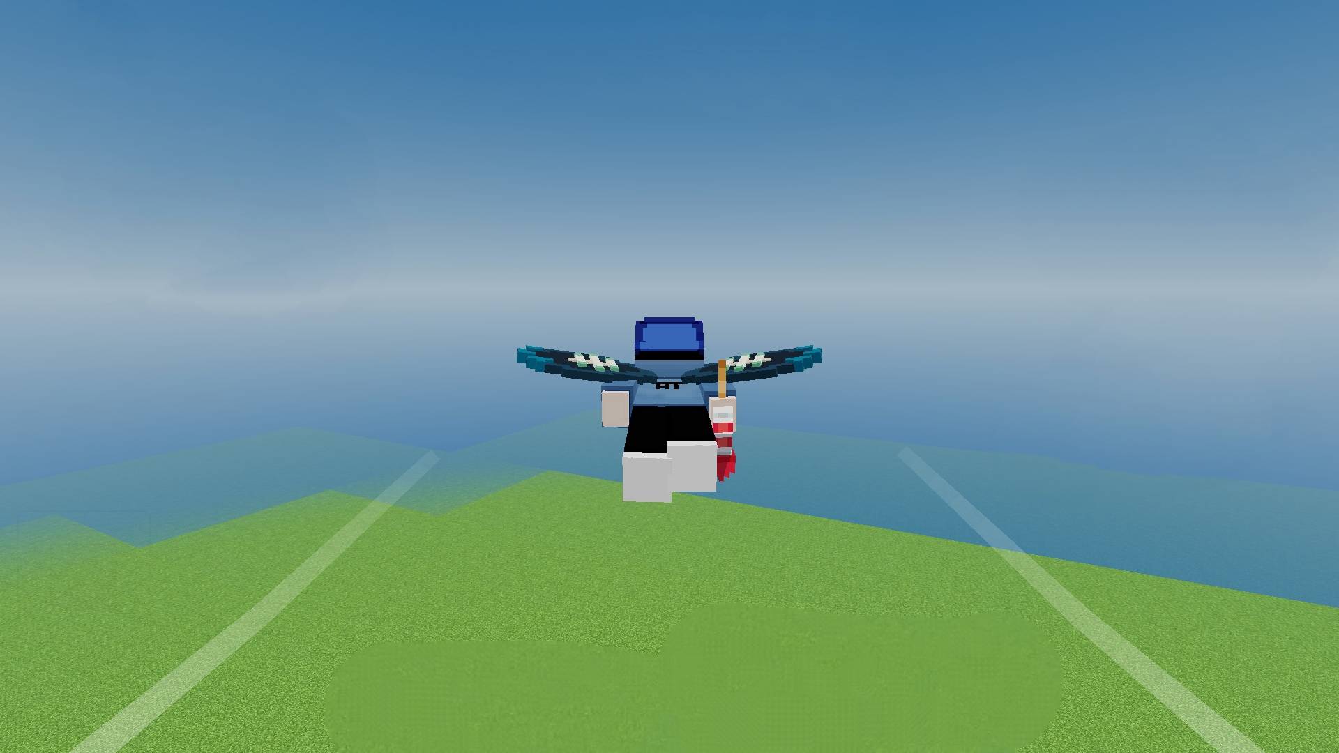 Elytra Medium 3D — screenshot 1
