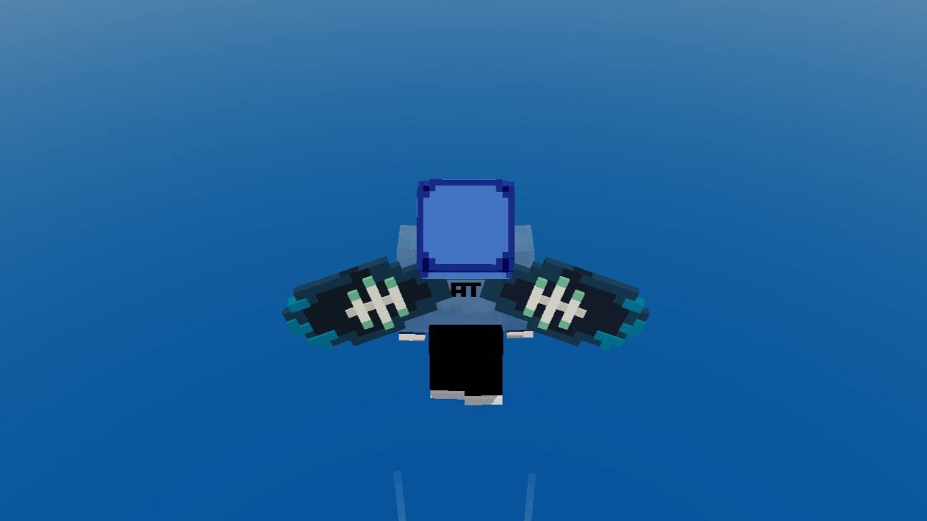 Elytra Medium 3D — screenshot 2