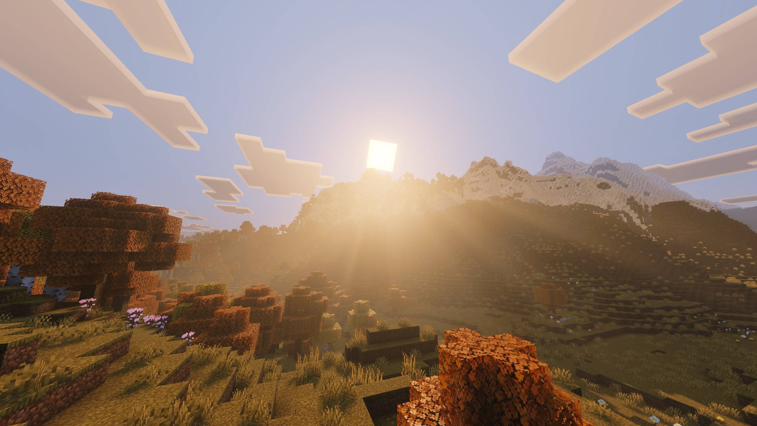 Pumpkin Spice Visuals thumbnail 1