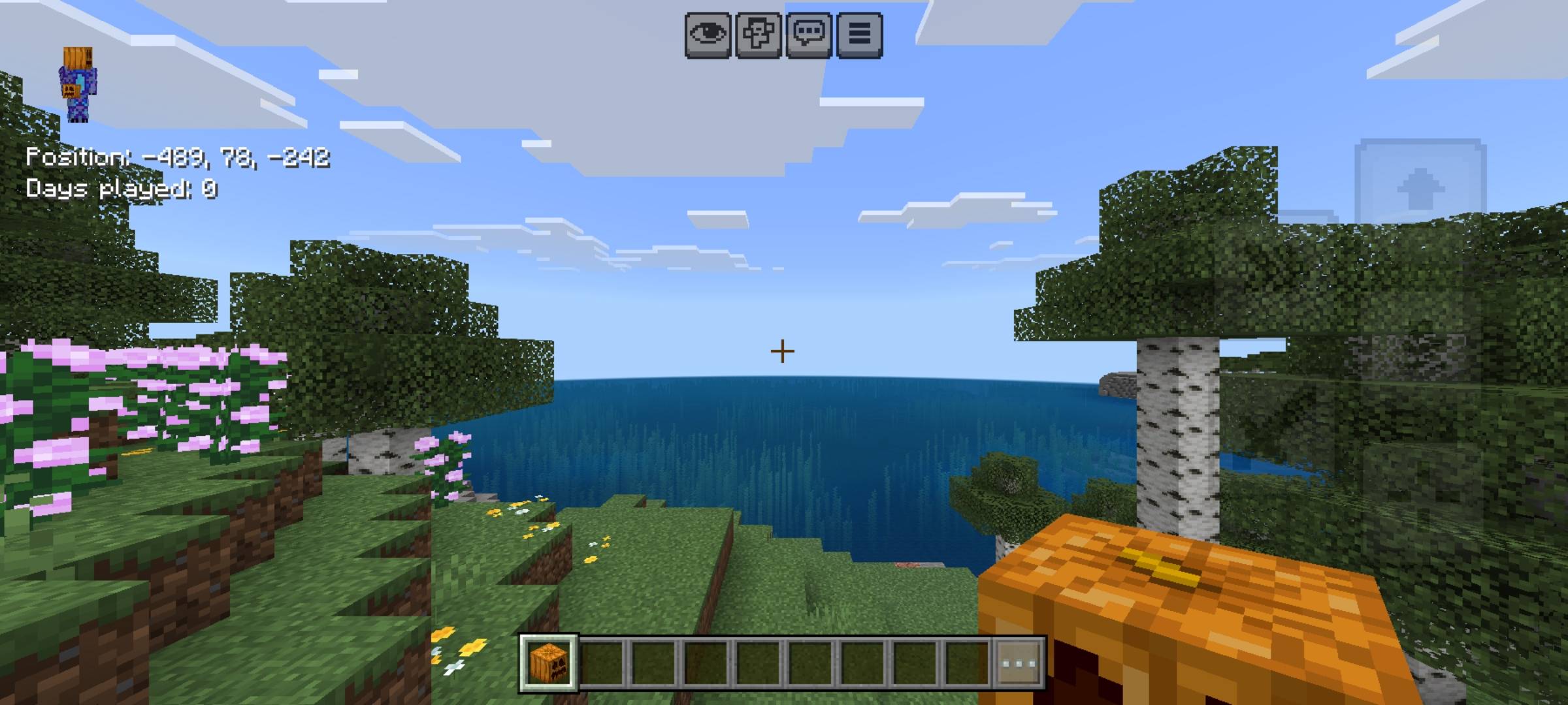 Zero Pumpkin Blur — screenshot 3