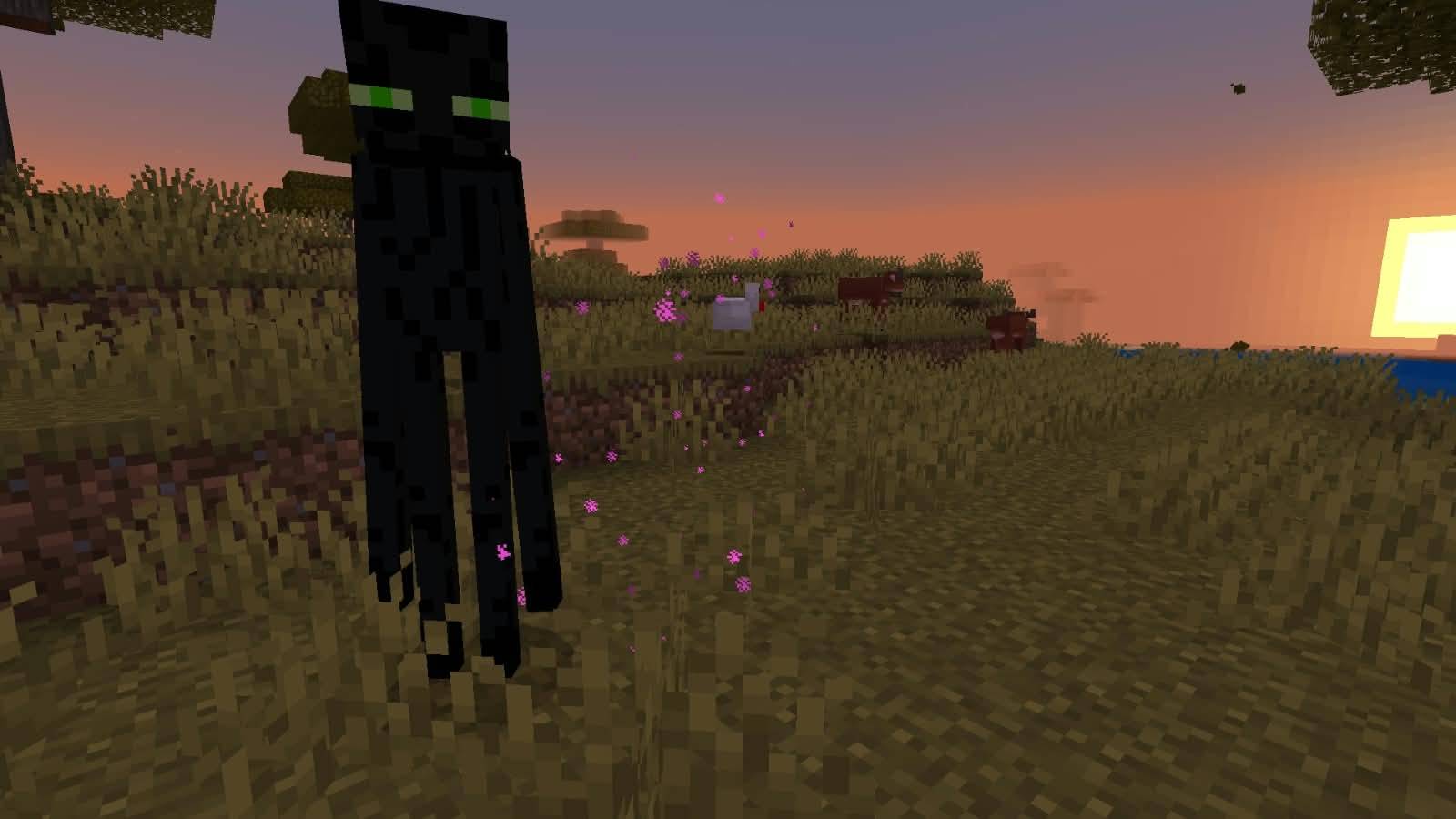 Fernan's Pack thumbnail 3