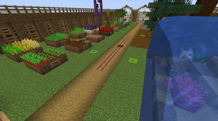 See all the plants in all their phases!