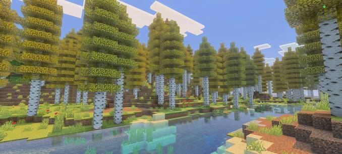 aspen_forest-jpg.jpg