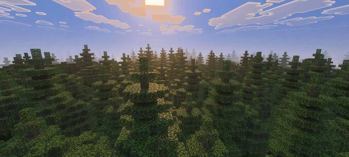 Thumbnail deciduous_forest-jpg.jpg