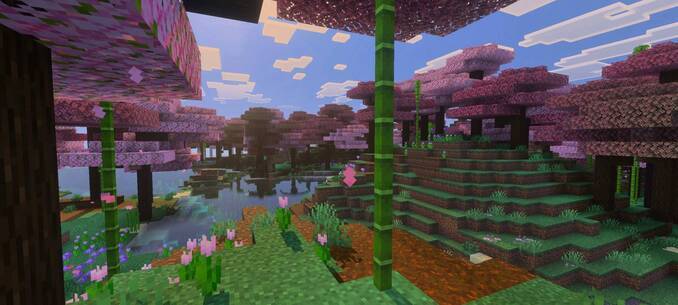 Thumbnail sakura_forest-jpg.jpg