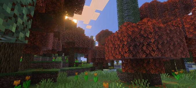 Thumbnail seasonal_forest-jpg.jpg