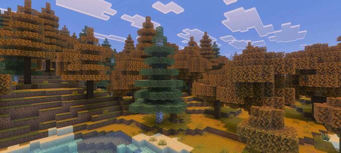 Thumbnail temperate_deciduous_forest-jpg.jpg