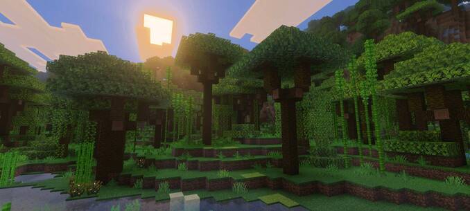 Thumbnail tropical_rainforest-jpg.jpg