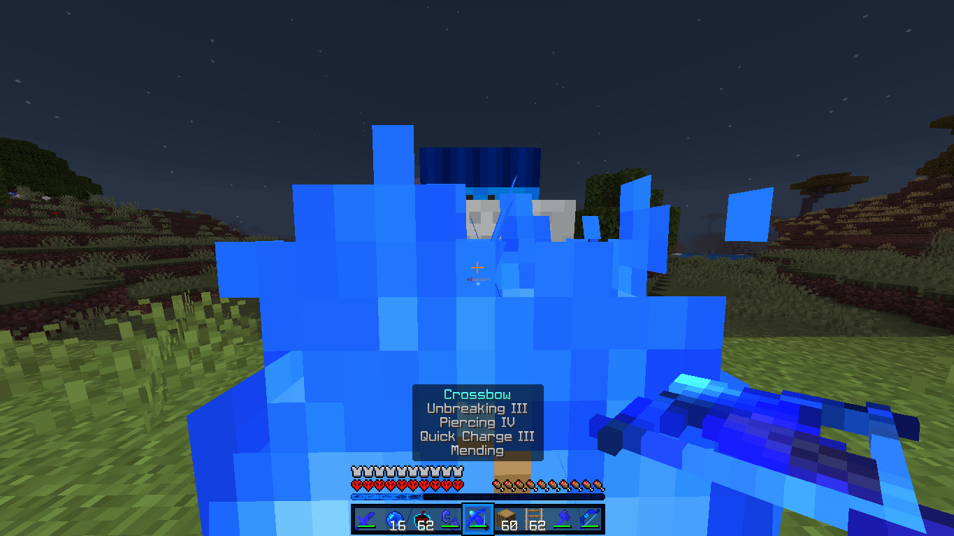XBOW 2.png