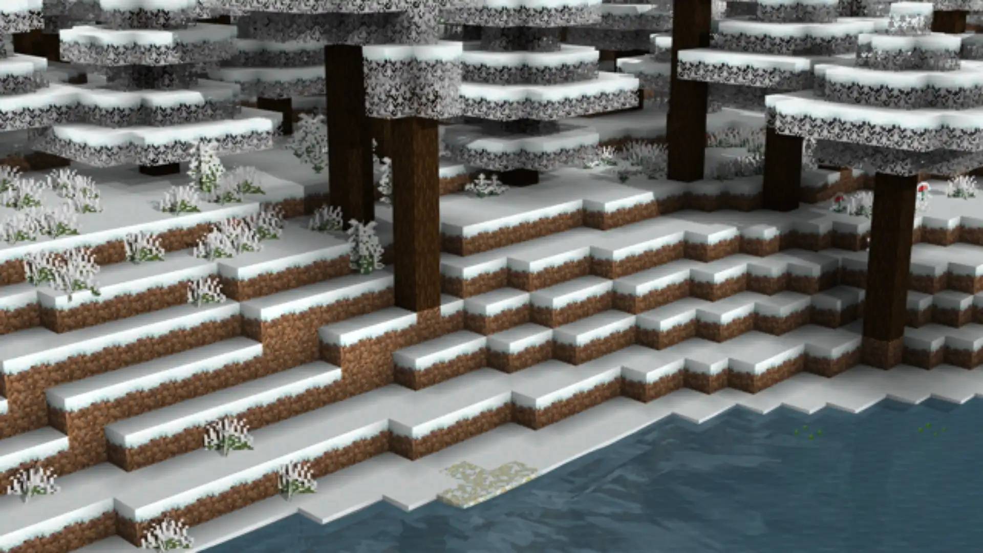 A snowy spruce forest