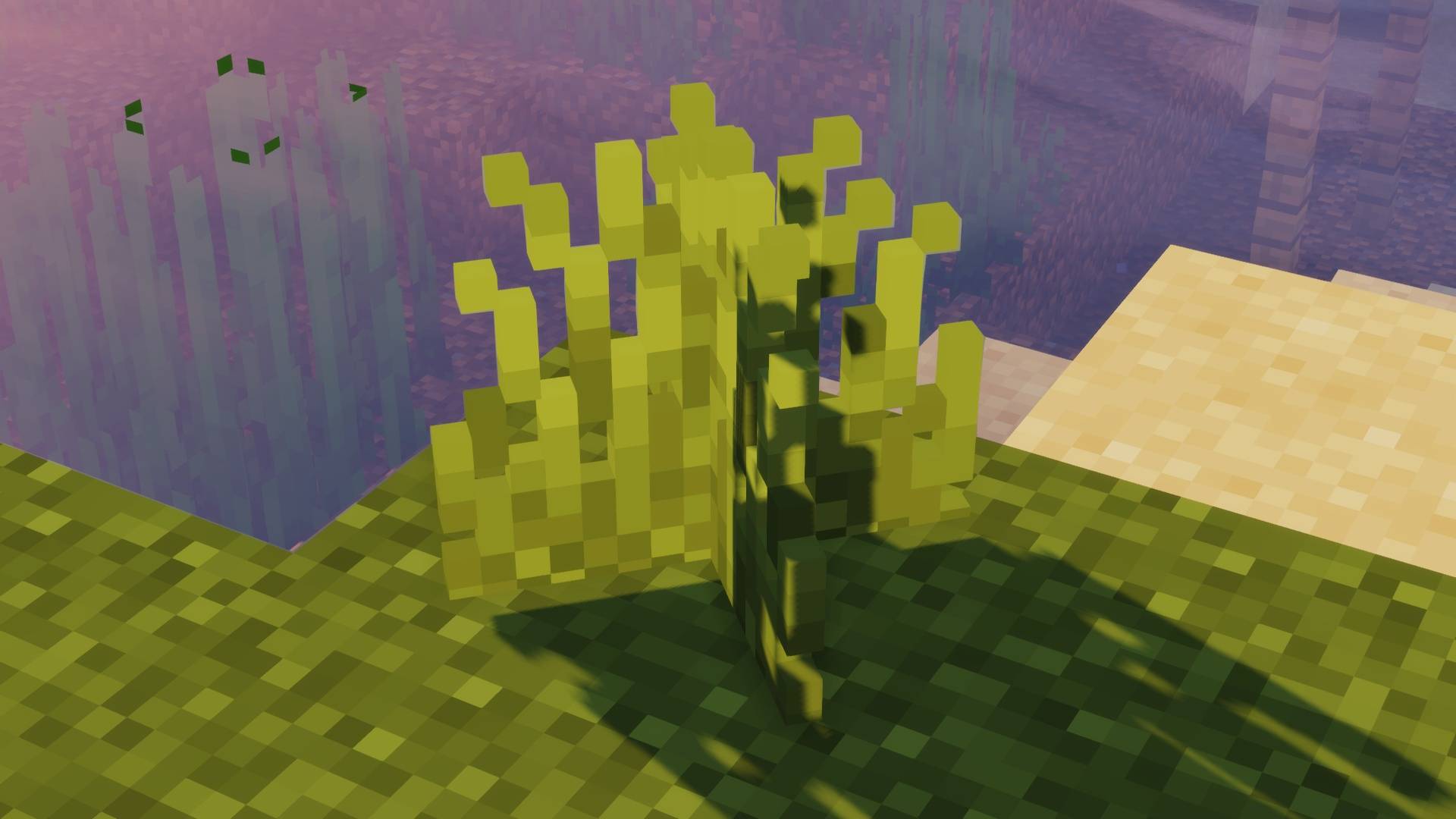 Grass