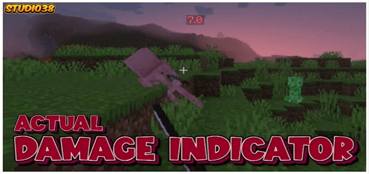 Actual Damage Indicator