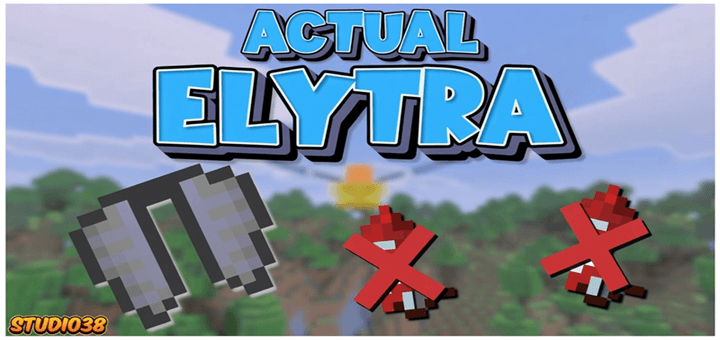 Actual Elytra