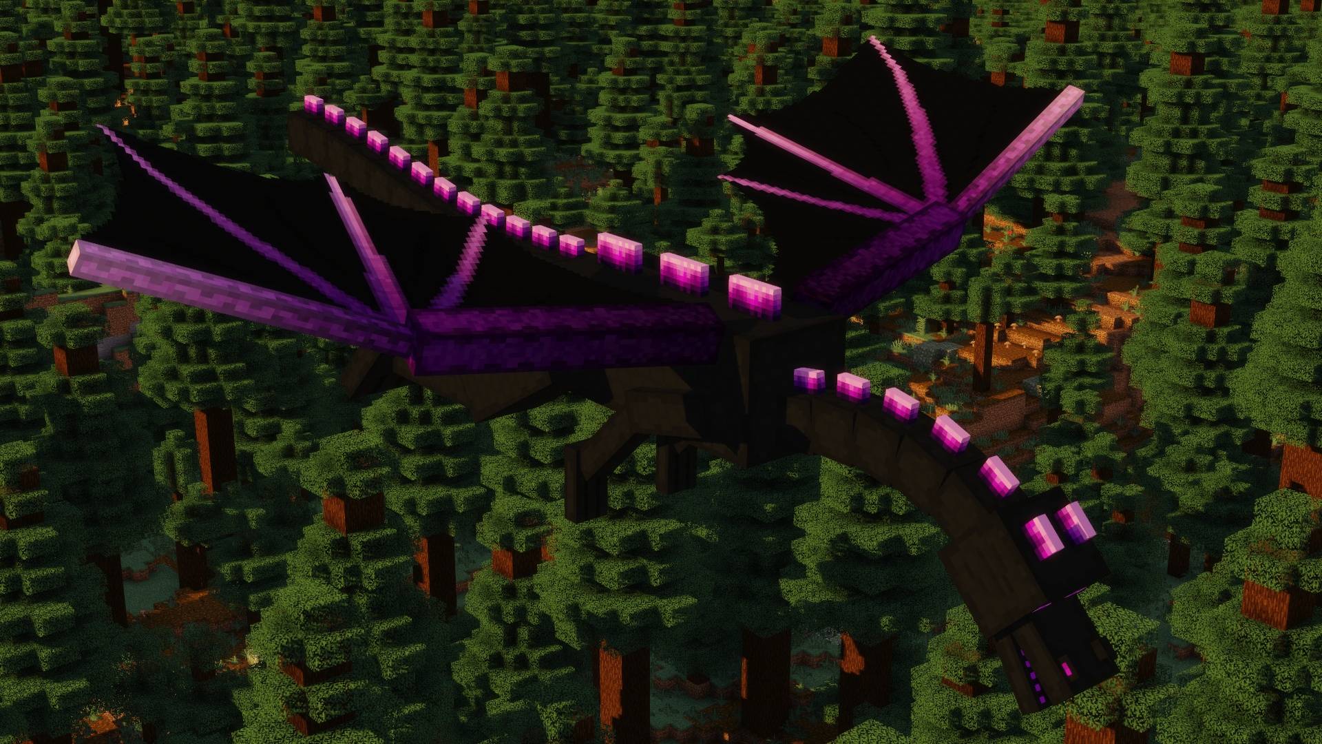 Purple Dragon