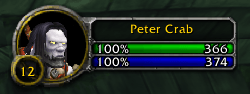 Forever Classic Restored UI Player Frame Screenshot.png