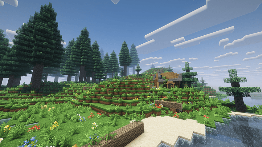 Forest.png