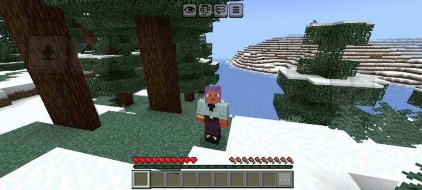Java Style Zoom V2.3 — screenshot 4