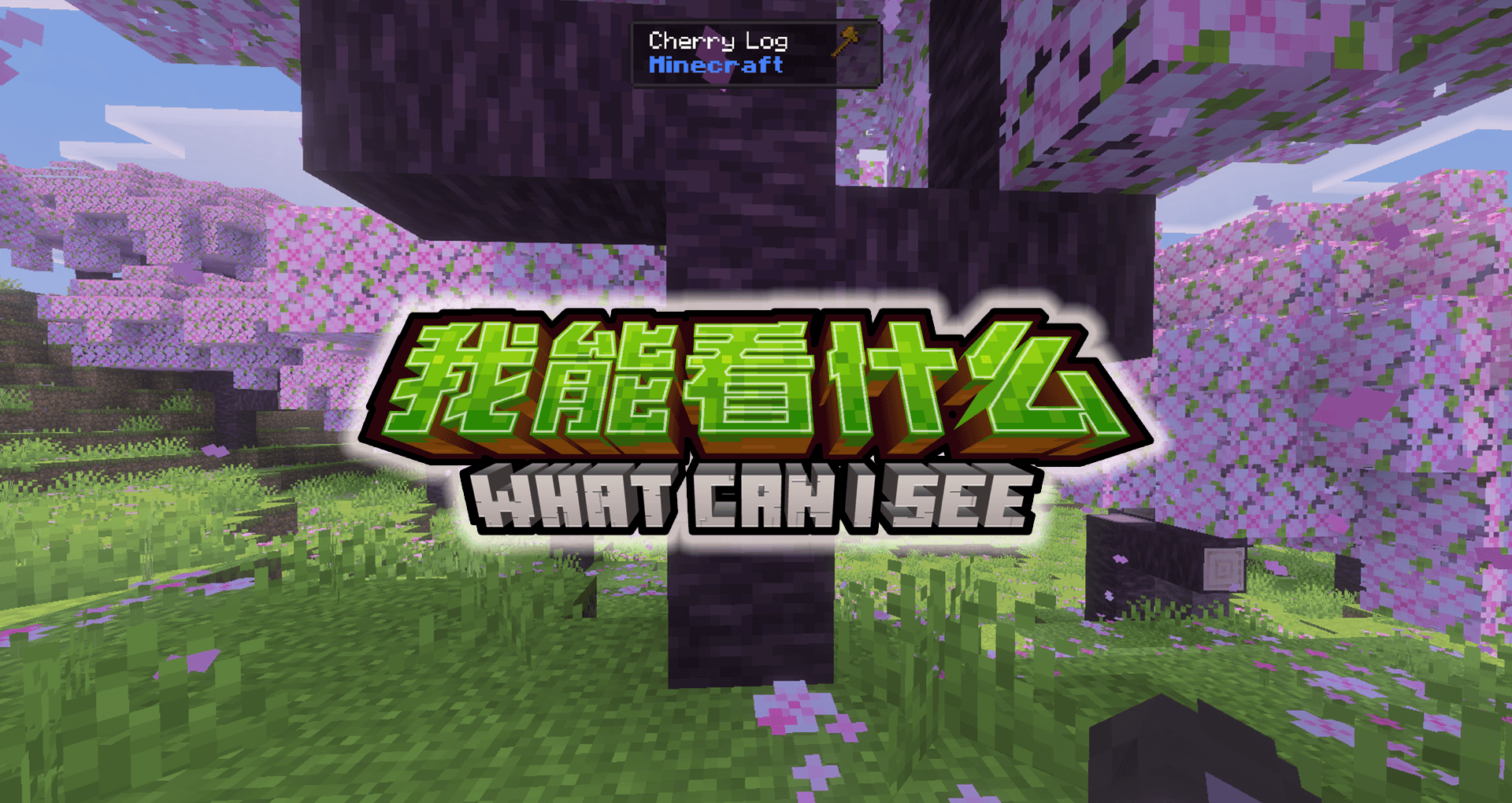 What Can I See