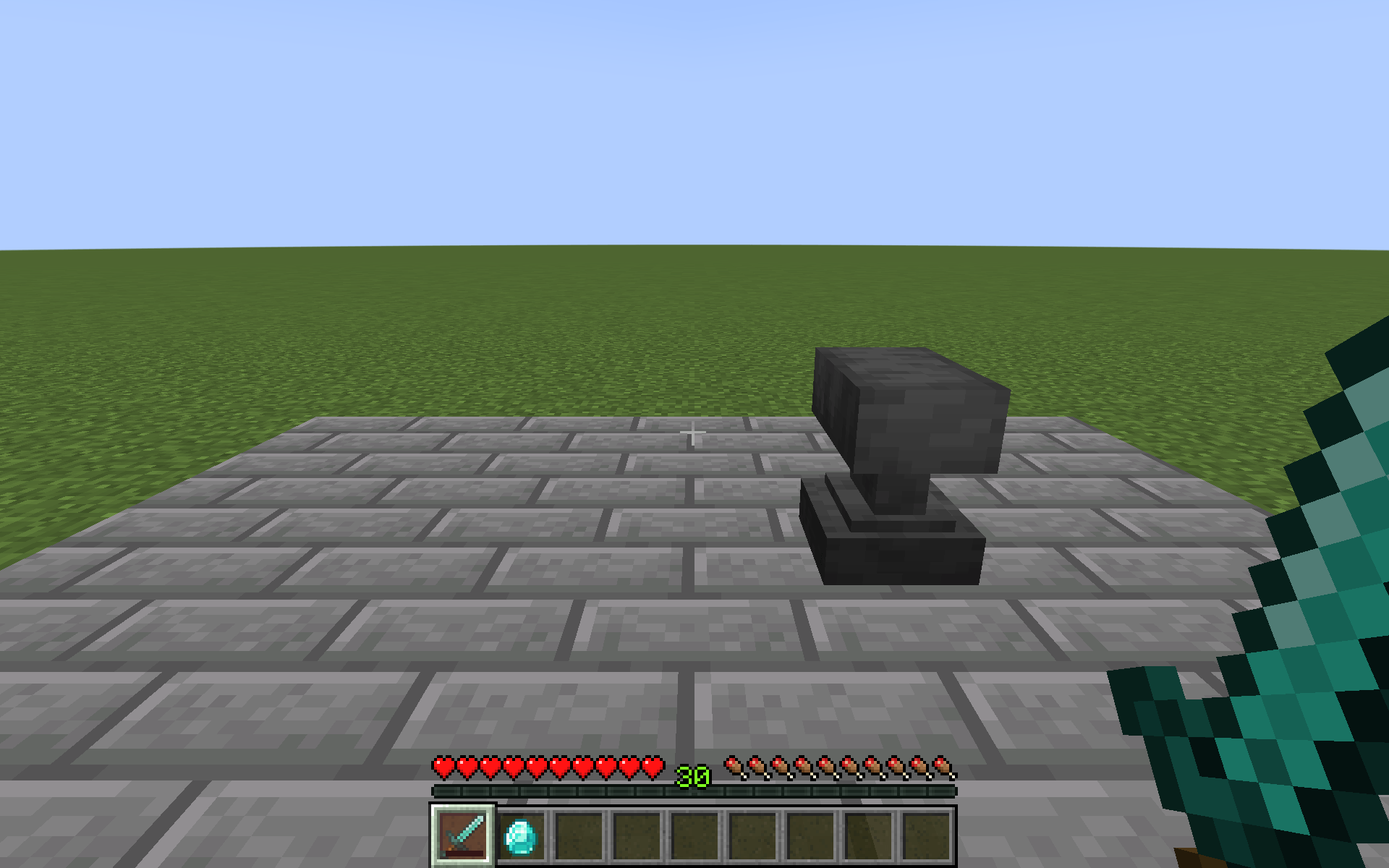 Holding a diamond sword with no durability remaining