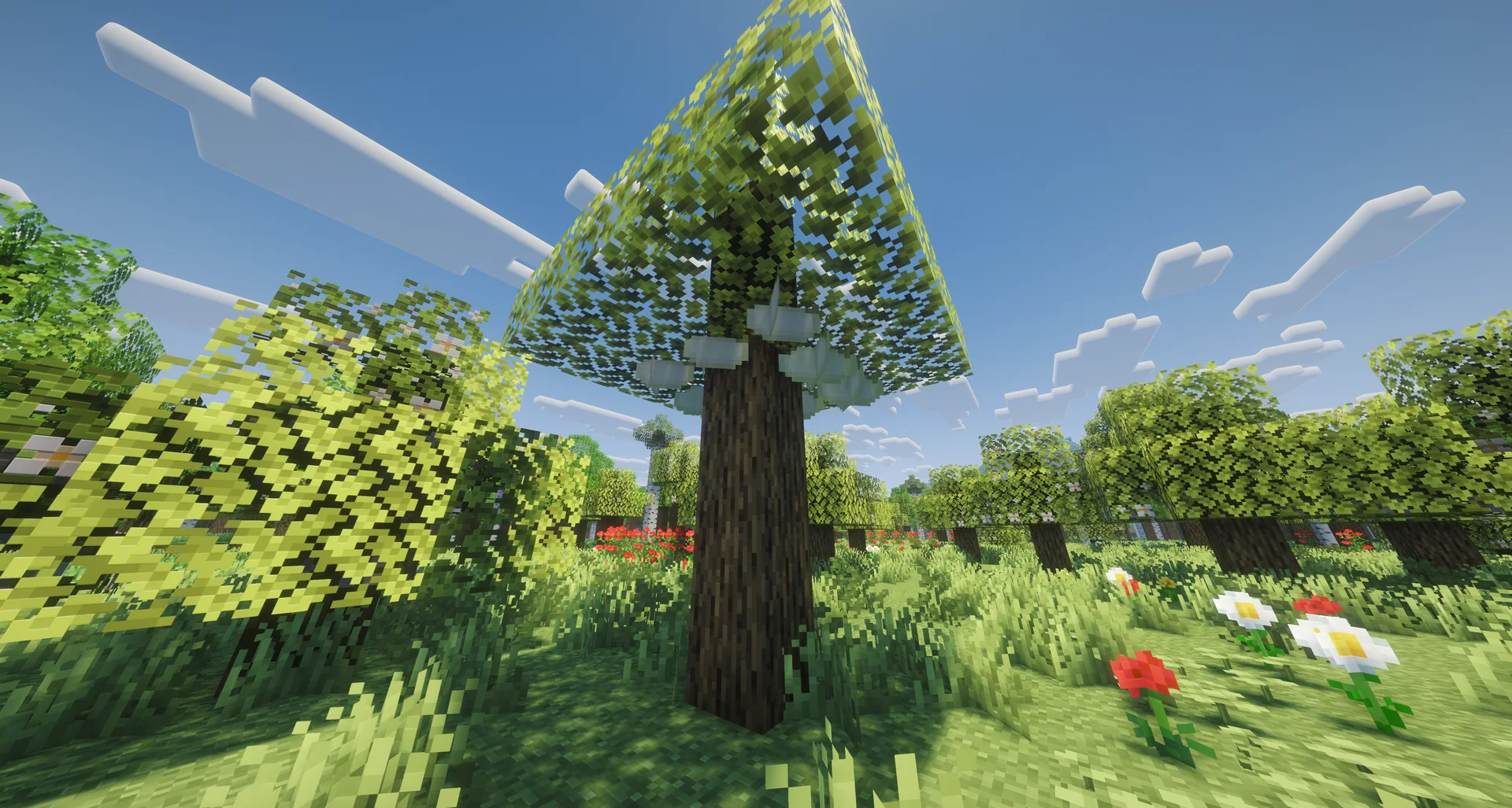 Thumbnail fruit-tree.webp