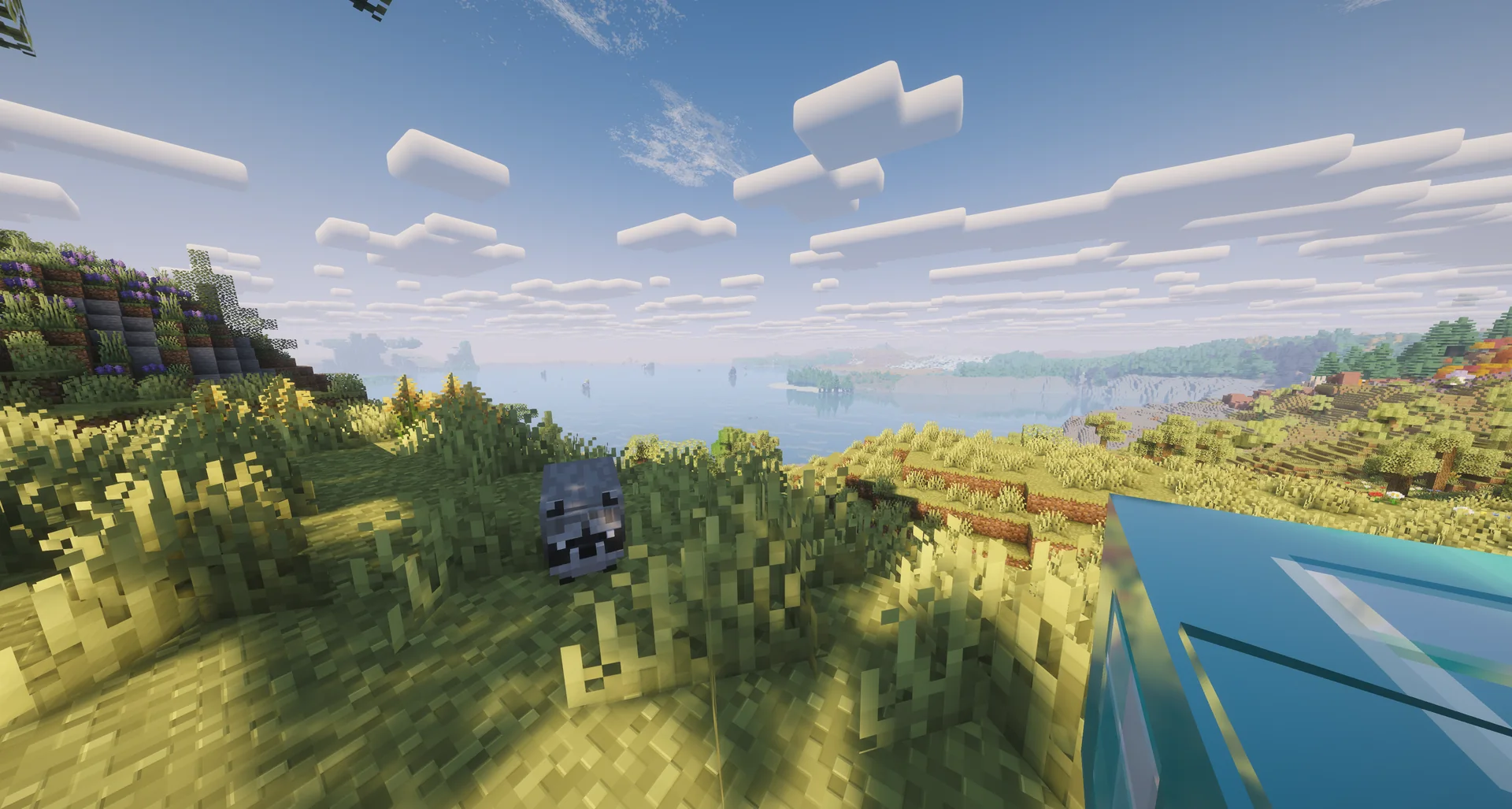 Thumbnail coastline.webp