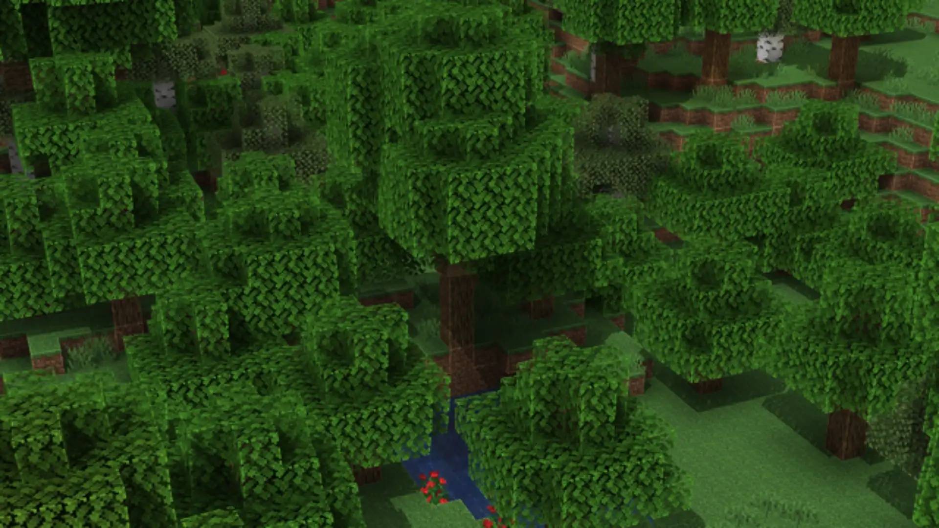 Outlines through an oak forest