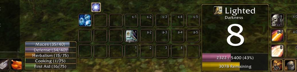 Vital Frame w Skills.jpg