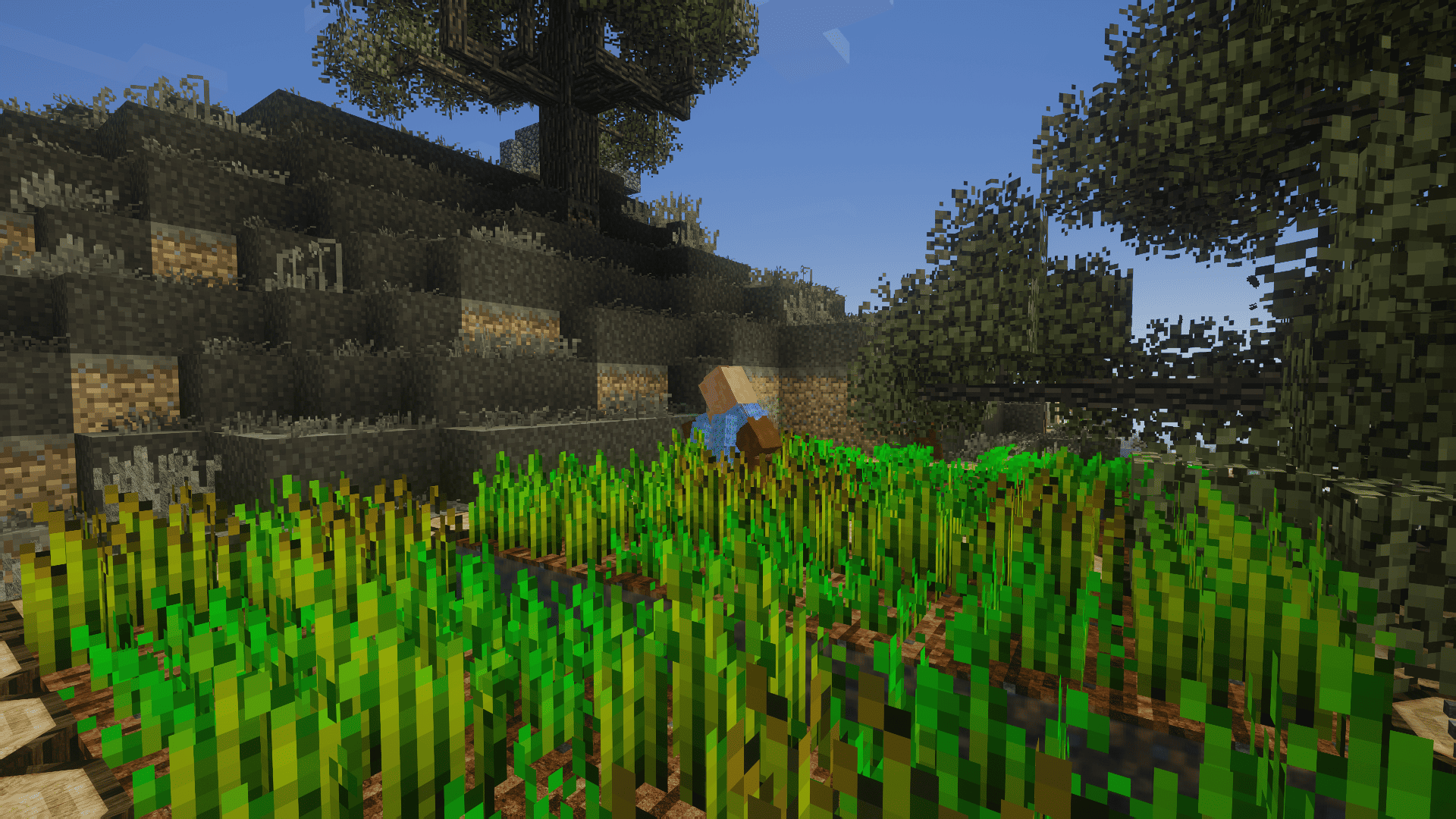 Thumbnail 2026-09-19_21.45.31.png