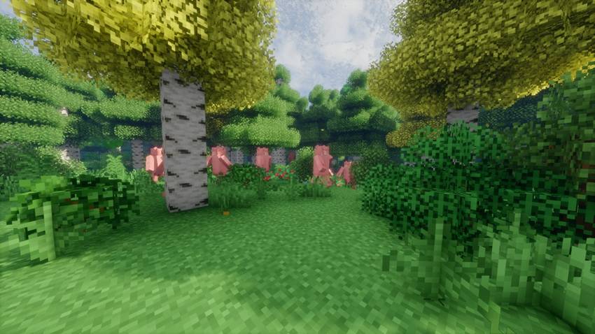 What are these pigs doing?