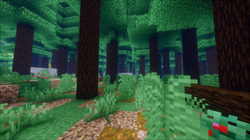 Forest