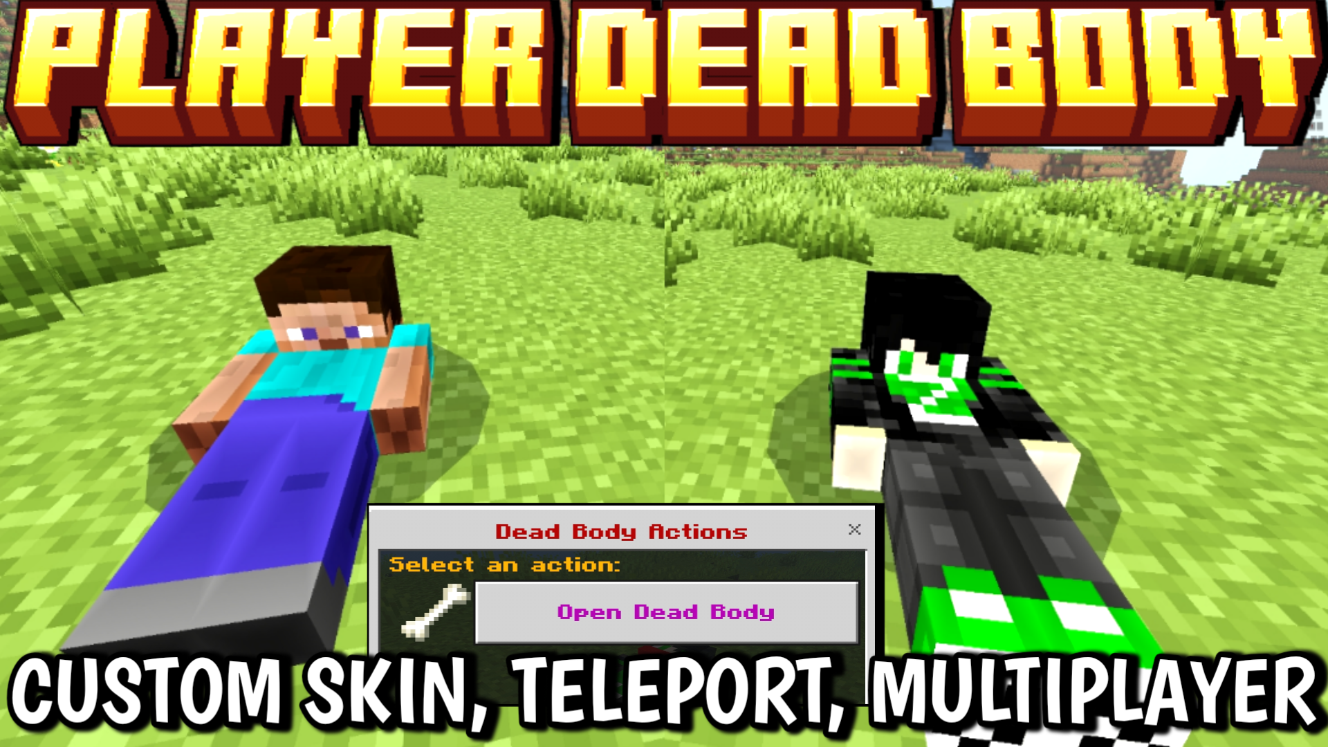 Player Dead Body