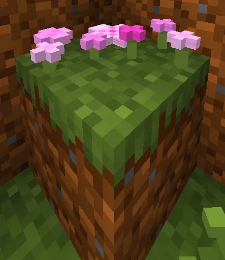 3D Image
