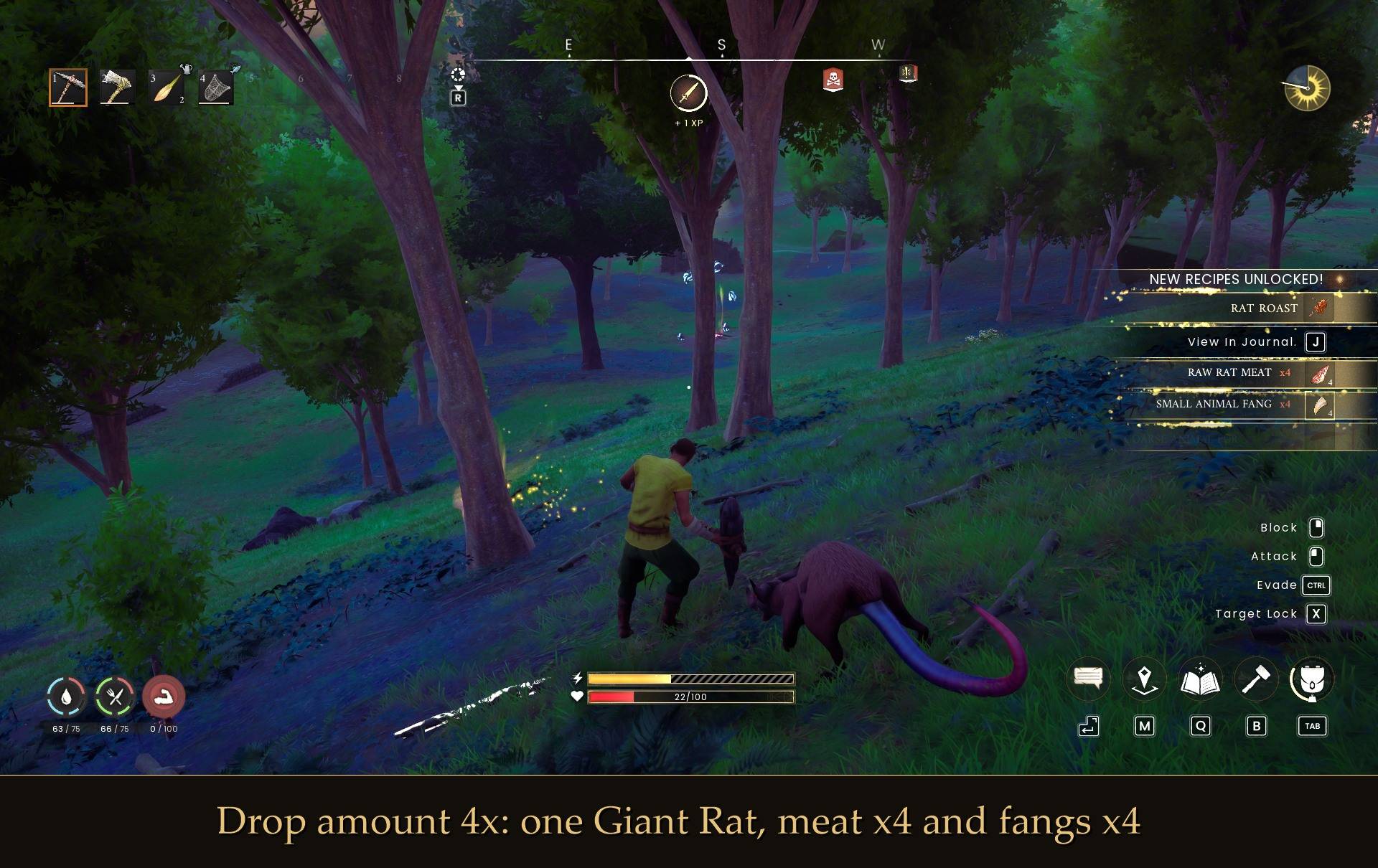 2-rat-x4.jpg