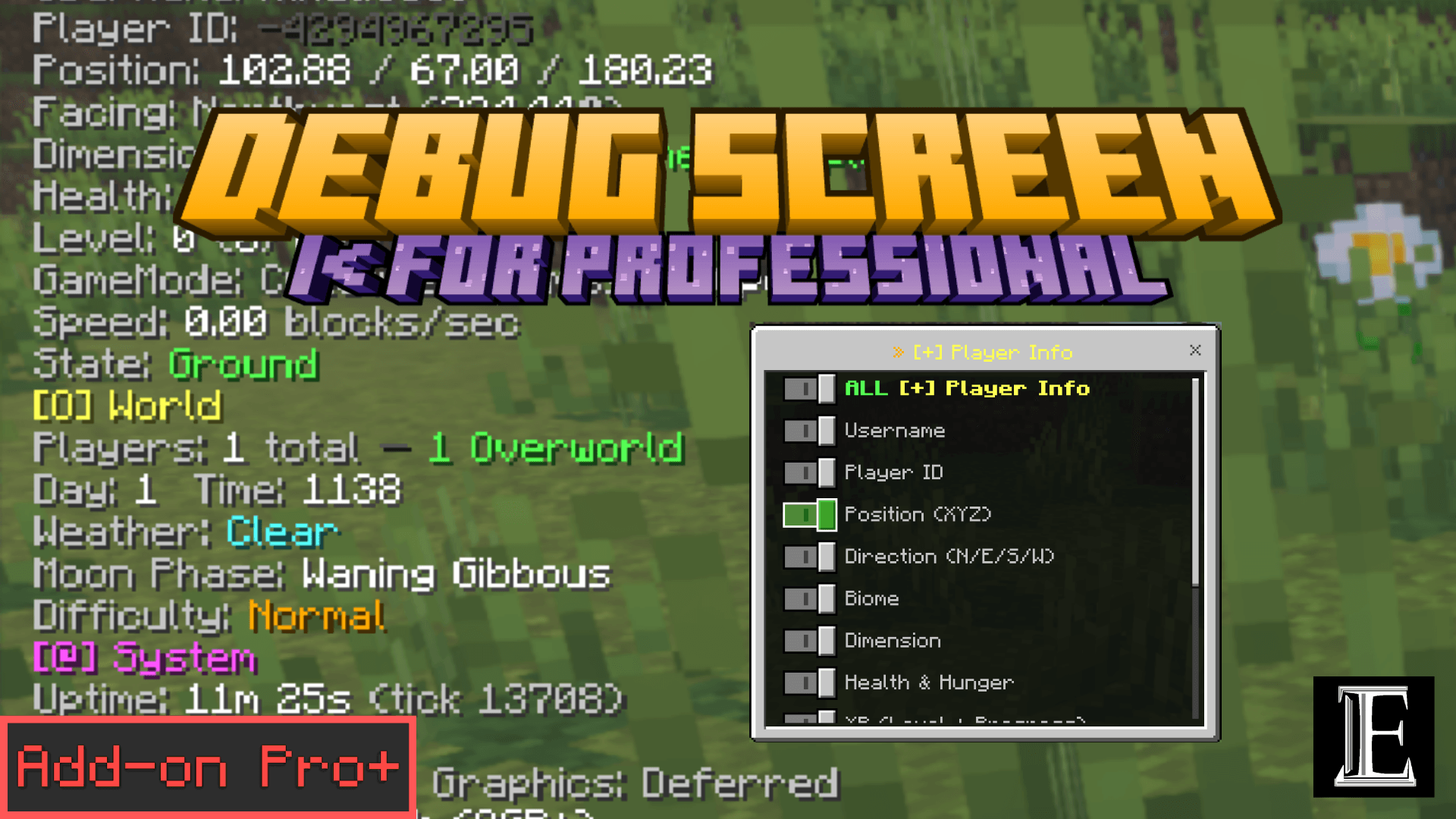 EuForia Bedrock Debug