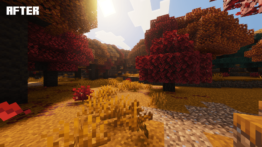 Better Dappled Forest! — screenshot 2