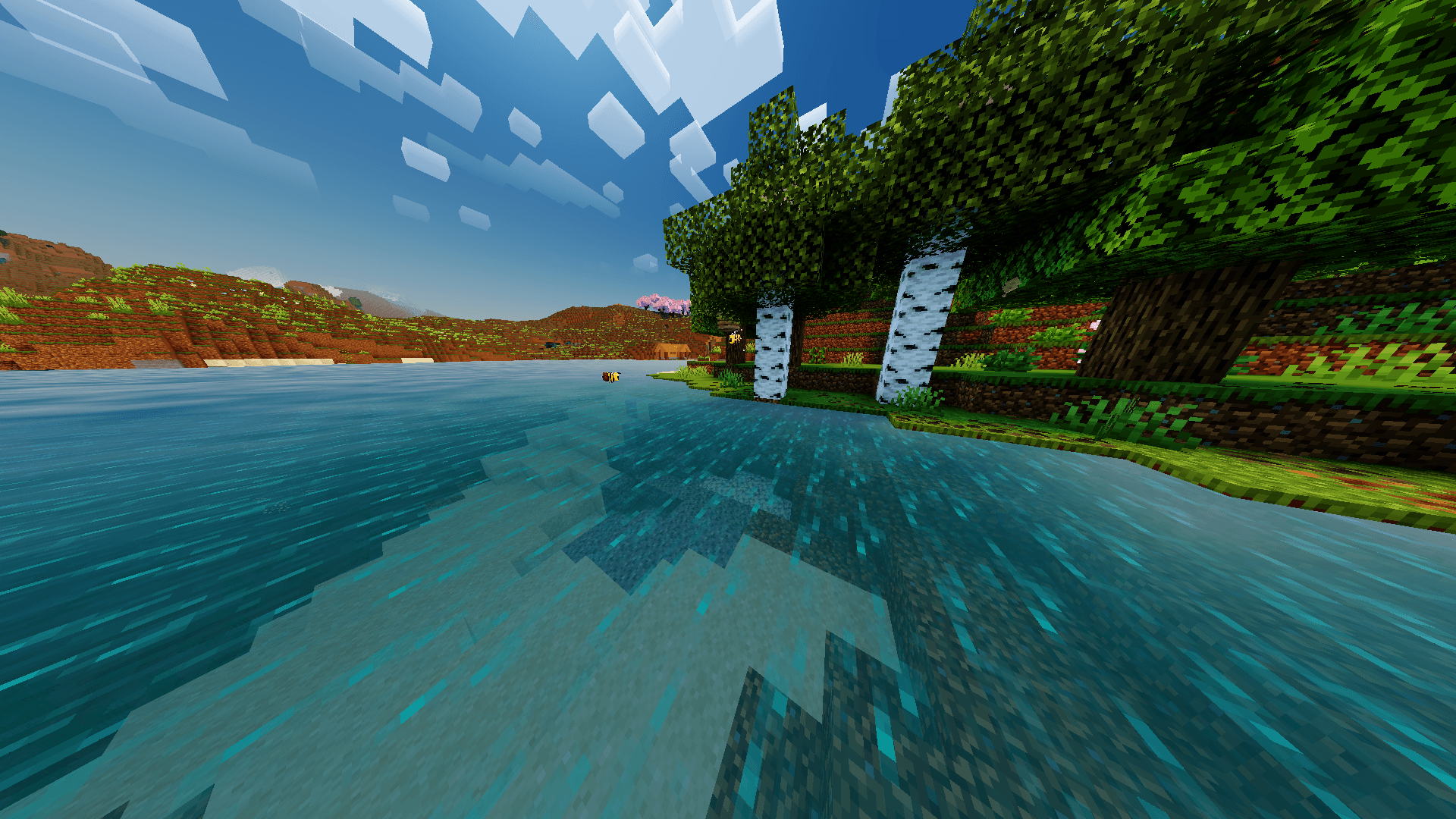 NewB x SBN V3 thumbnail 4