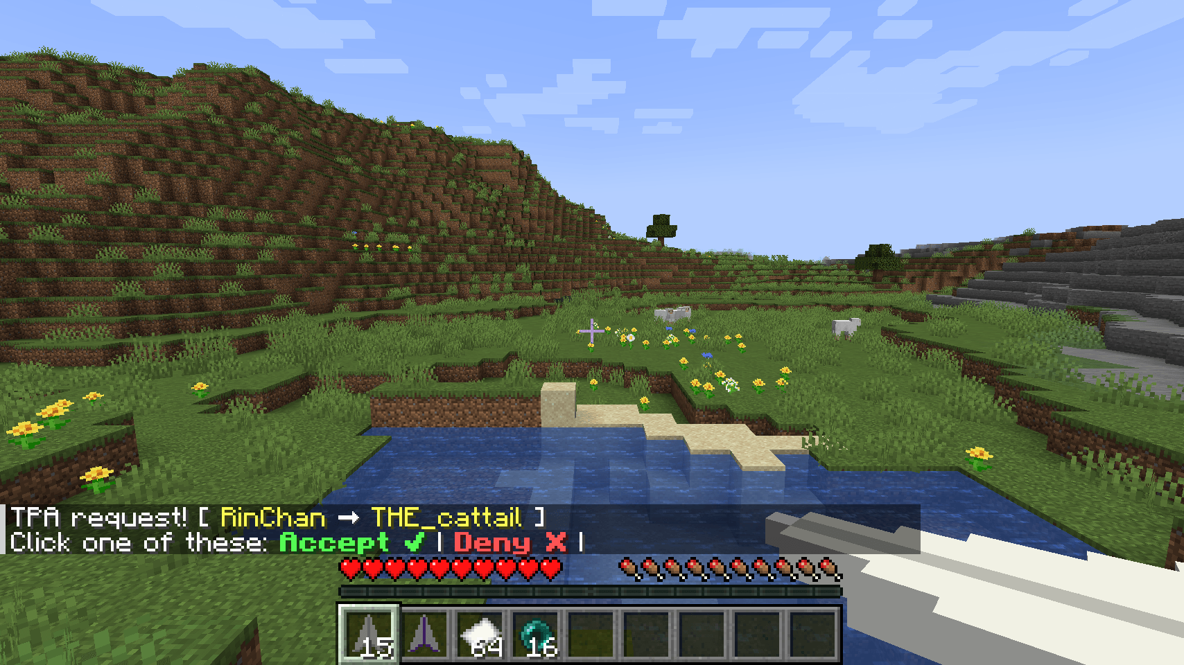 Receiving a teleport request
