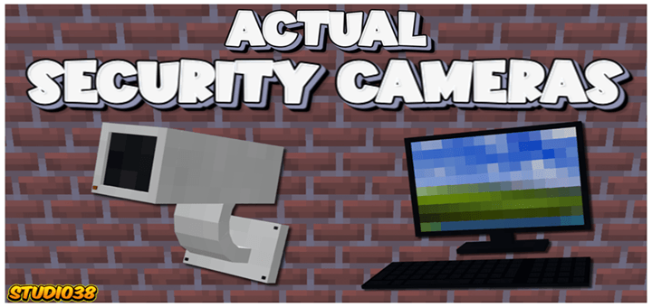Actual Security Cameras