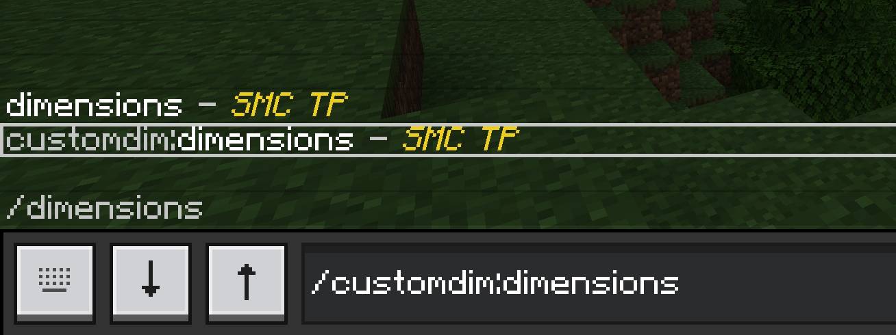 SMC DIMENTIONS TP — screenshot 2