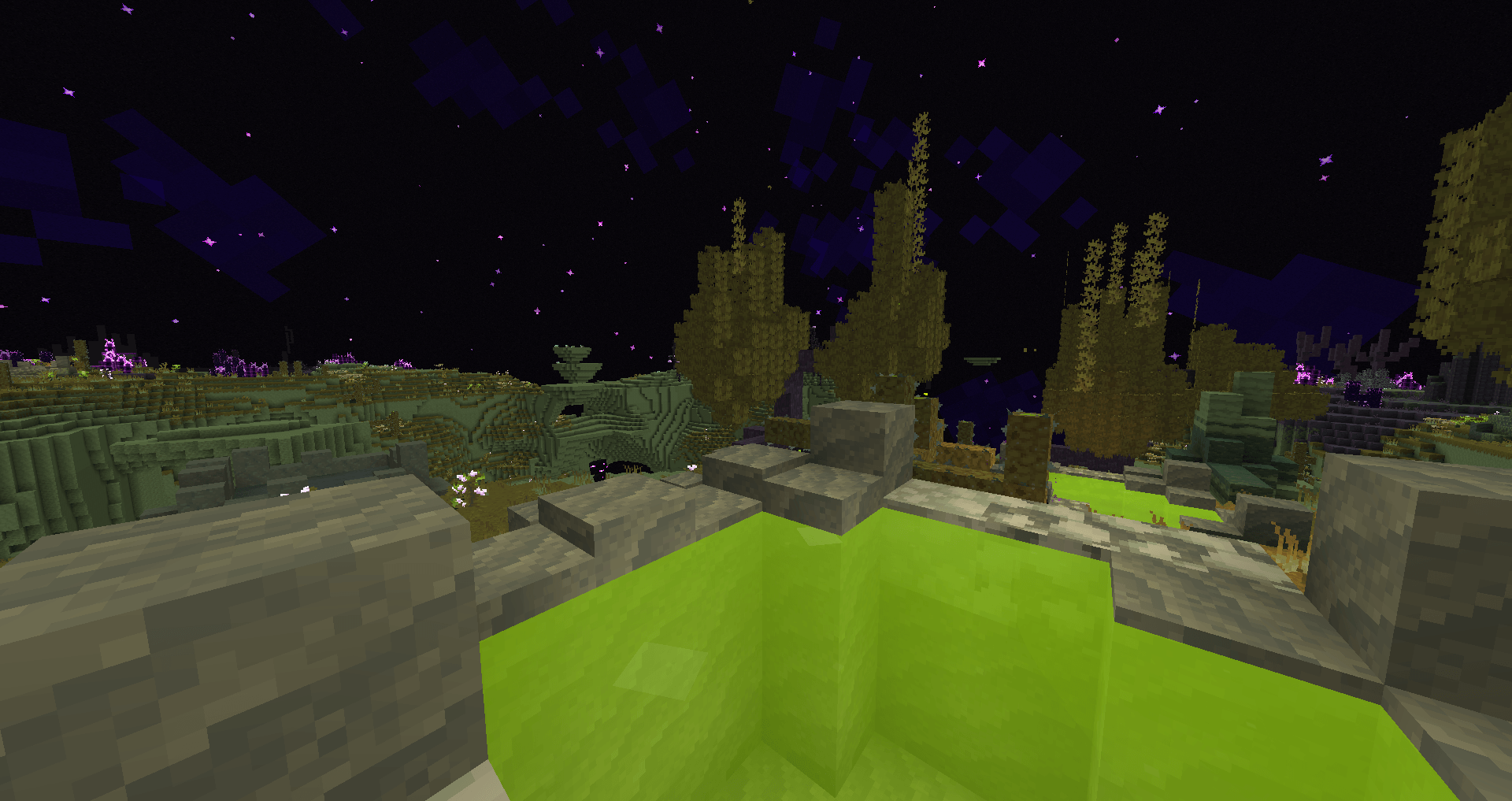 Chorus Forest 2