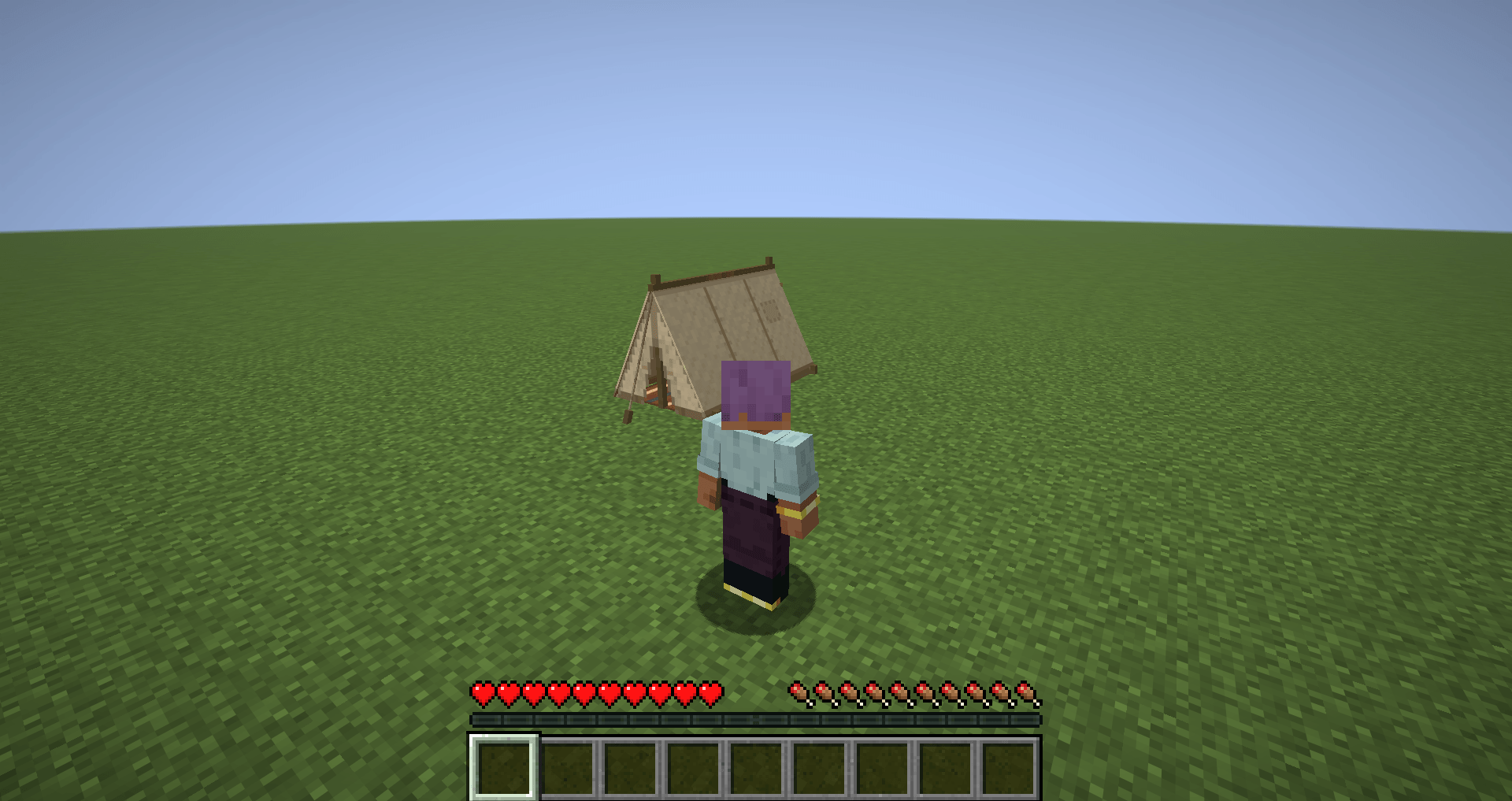 0-tent-pitched.png