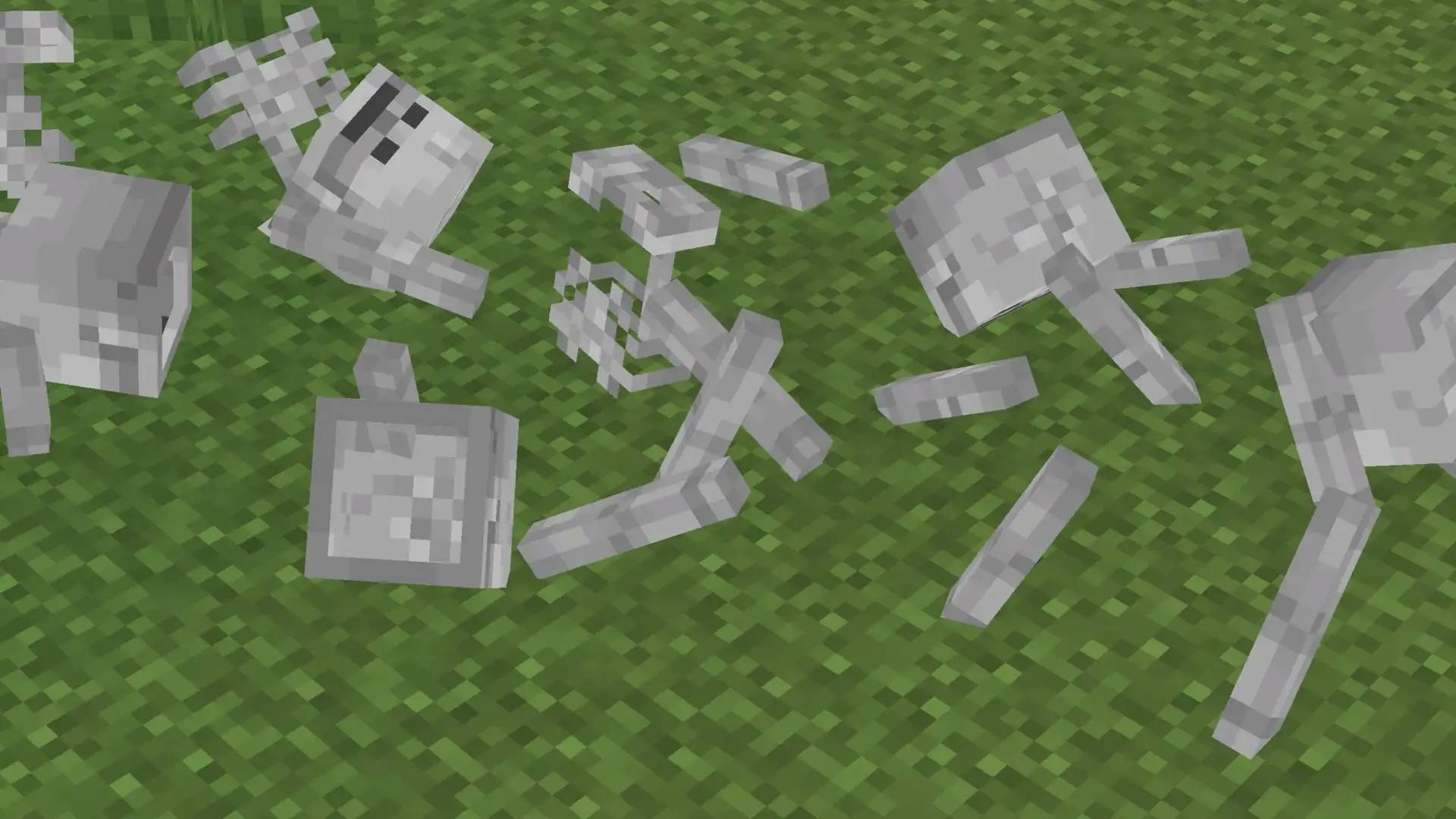 A collection of skeleton bones